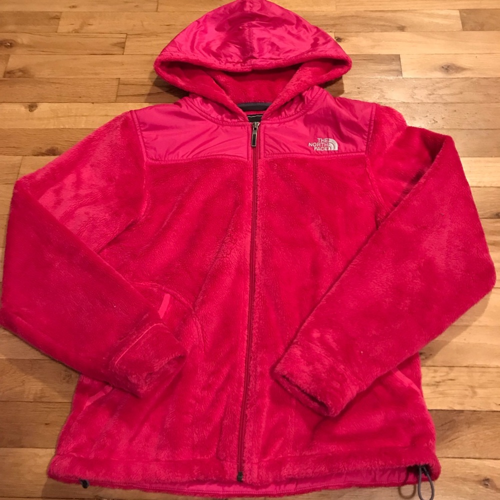 Fuzzy North Face Jacket